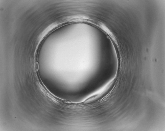 X0000059061384200510101037