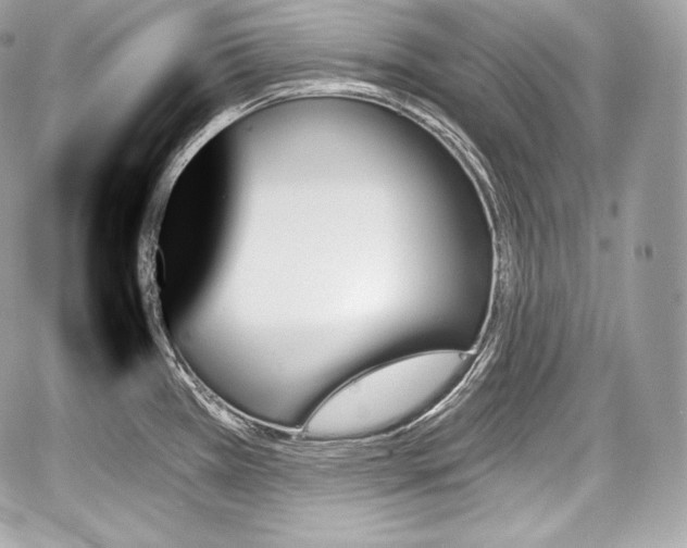 X0000059061385200510101037