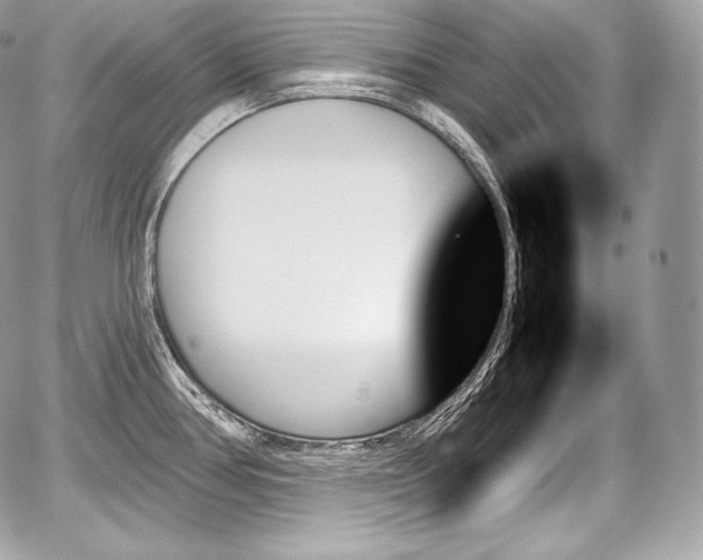 X0000059061386200510101037