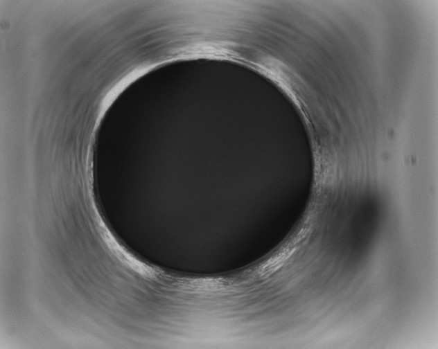 X0000059061387200510101037