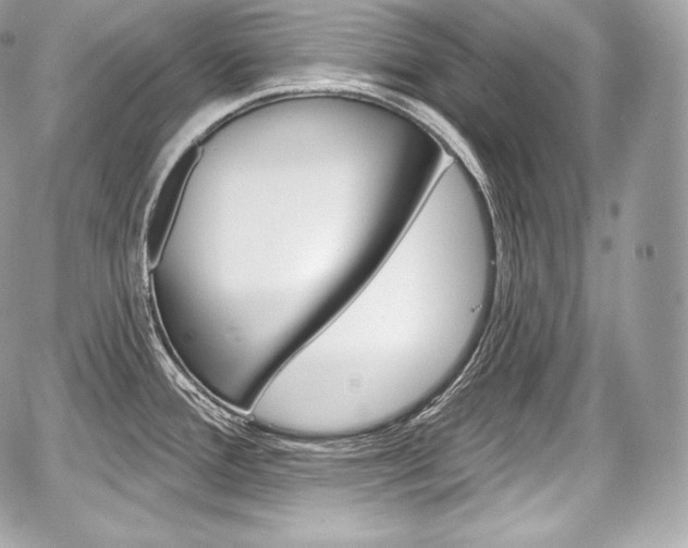 X0000059061388200510101037