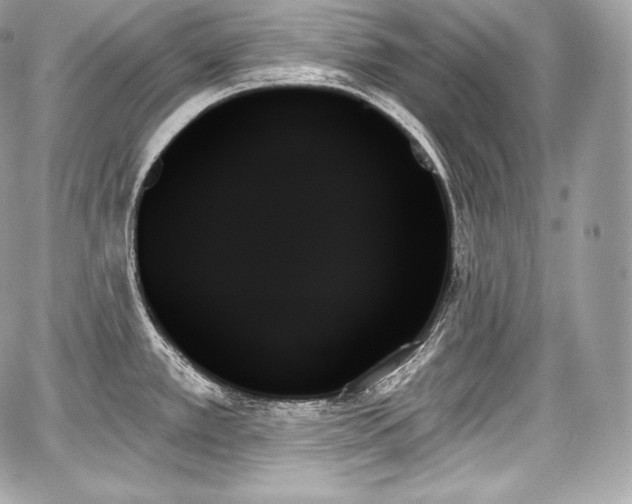 X0000059061389200510101037