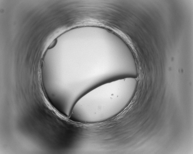 X0000059061390200510101037