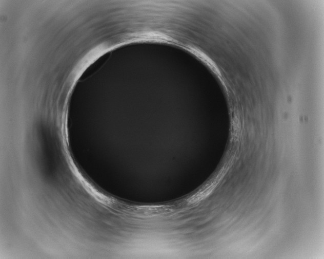 X0000059061391200510101037