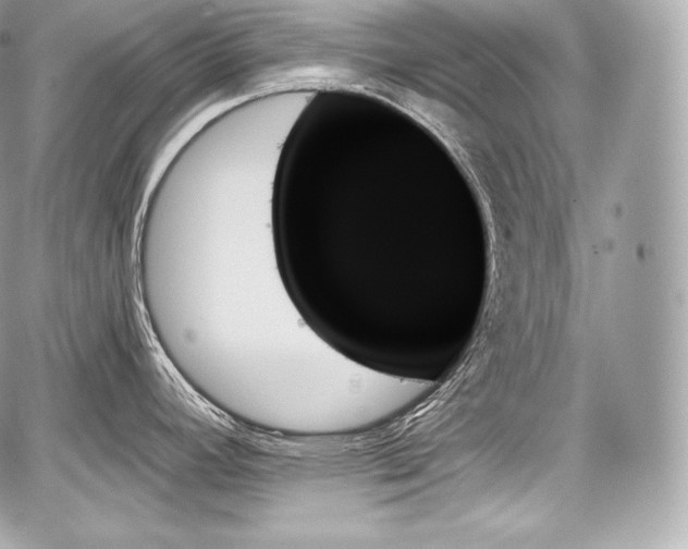 X0000059061392200510101037