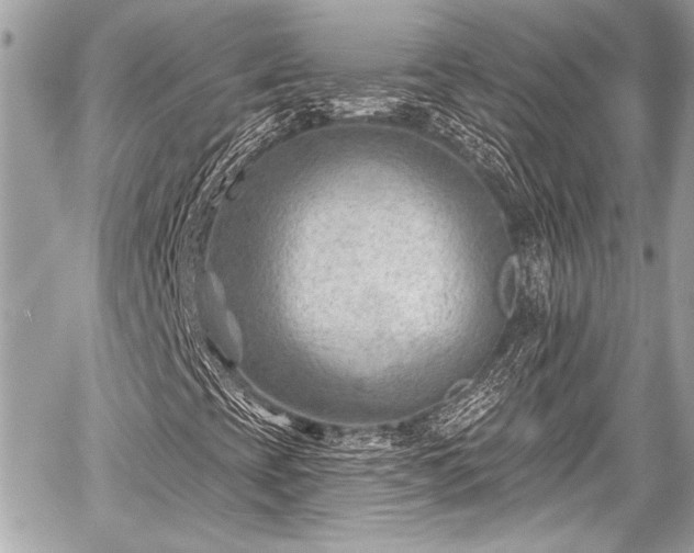 X0000059061393200510101036