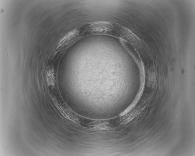 X0000059061394200510101036