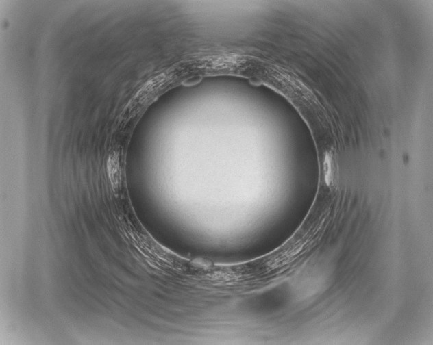 X0000059061395200510101036