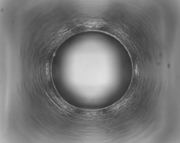 X0000059061396200510101036