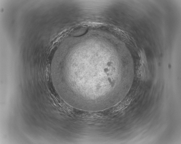 X0000059061397200510101036