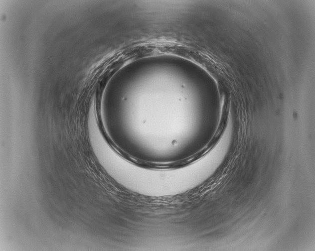 X0000059061398200510101036