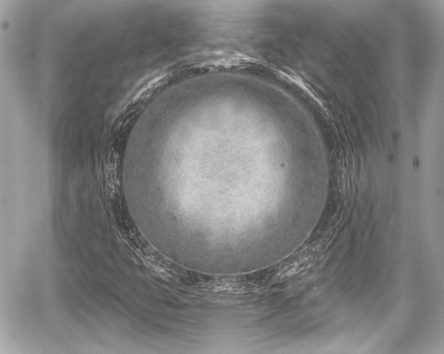 X0000059061399200510101036