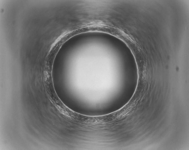 X0000059061400200510101036