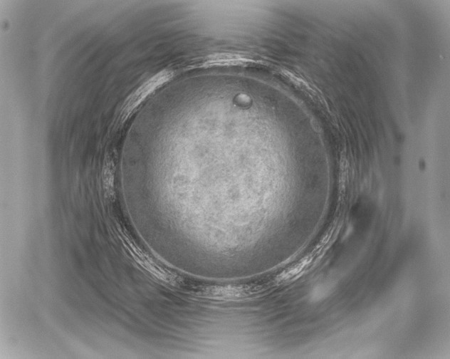 X0000059061401200510101036