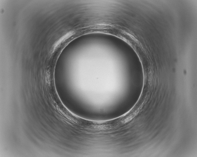 X0000059061402200510101036