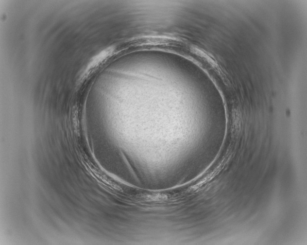 X0000059061403200510101036