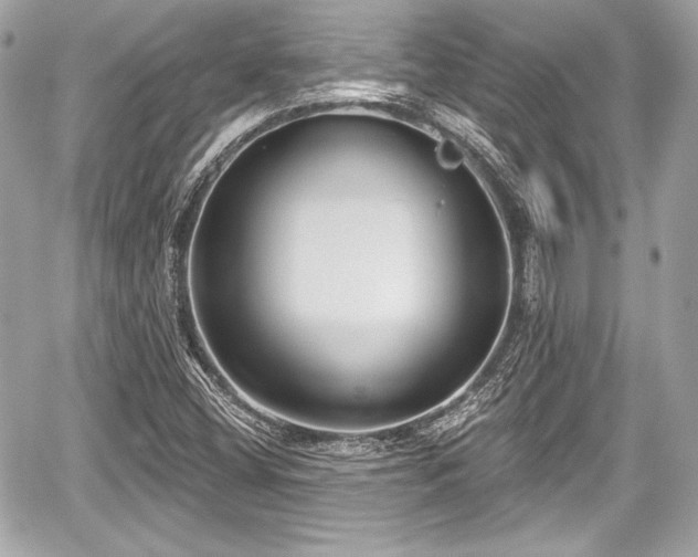 X0000059061404200510101036