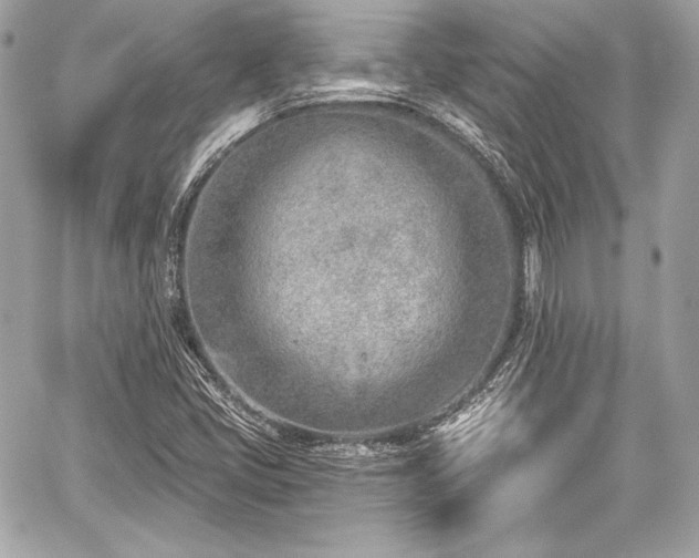 X0000059061405200510101036