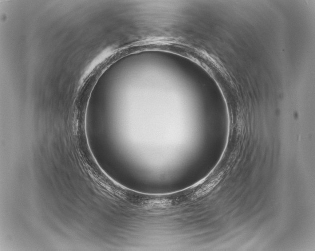 X0000059061406200510101036