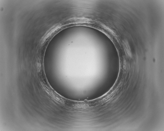 X0000059061407200510101036