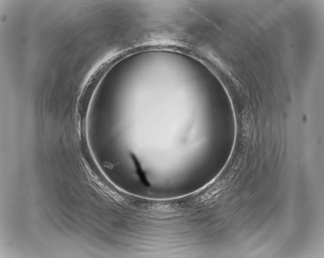 X0000059061408200510101036