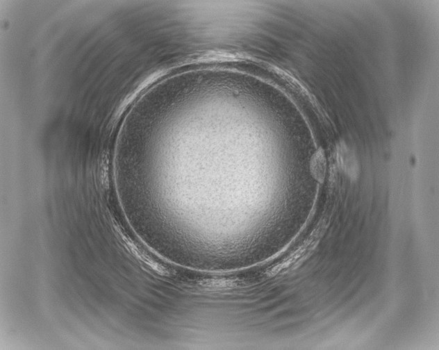 X0000059061409200510101036