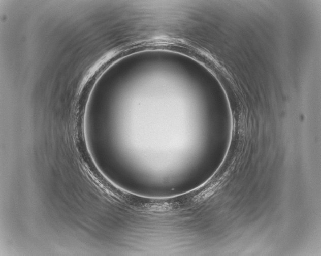 X0000059061410200510101036