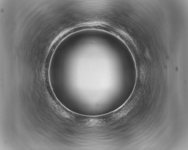 X0000059061412200510101036