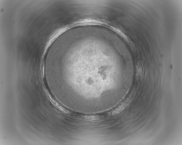 X0000059061413200510101036