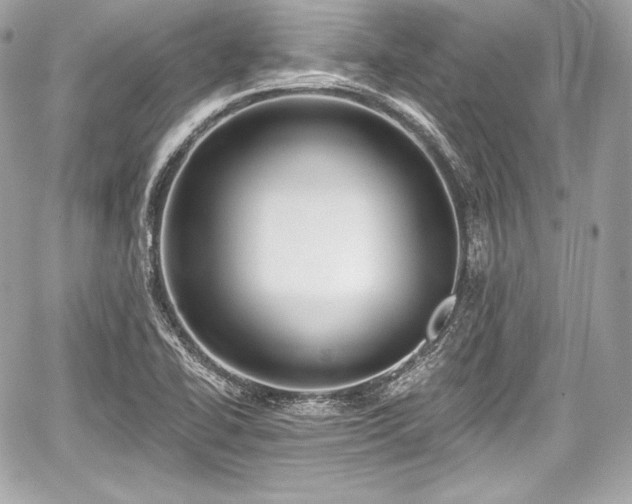 X0000059061414200510101036