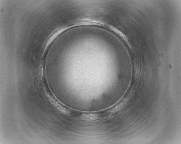 X0000059061415200510101037