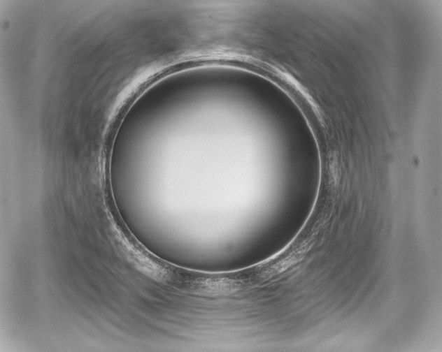 X0000059061416200510101037