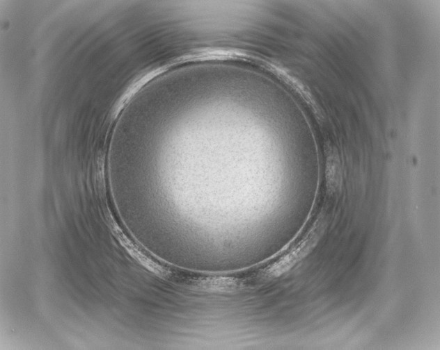 X0000059061417200510101037