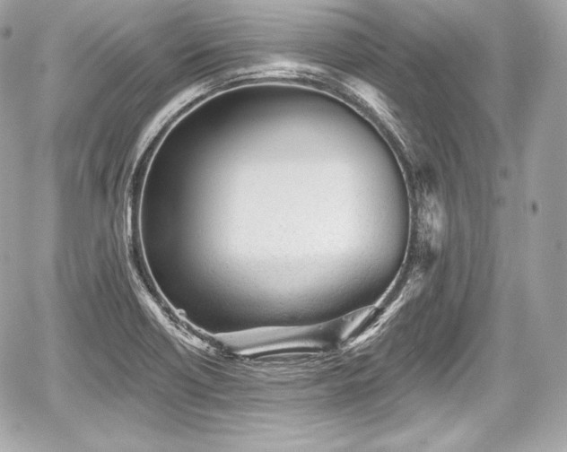 X0000059061418200510101037