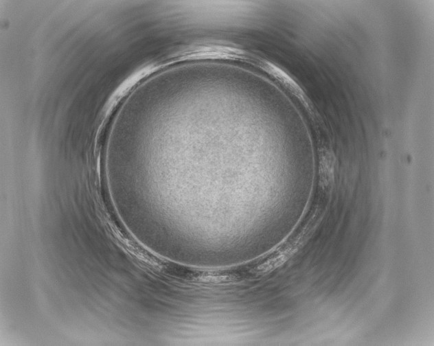 X0000059061419200510101037