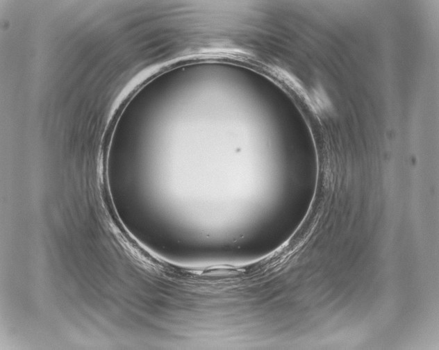 X0000059061420200510101037