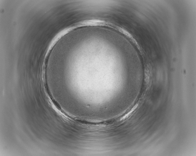 X0000059061421200510101037