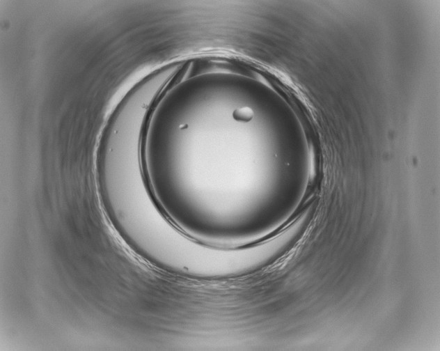 X0000059061422200510101037