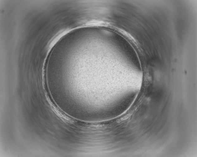 X0000059061423200510101037