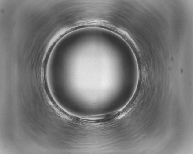 X0000059061424200510101037