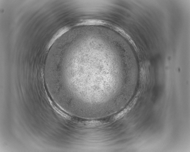 X0000059061425200510101037