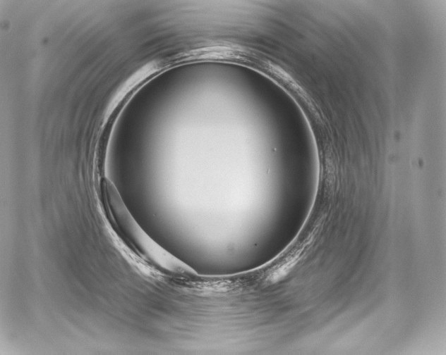 X0000059061426200510101037