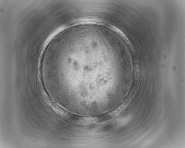 X0000059061427200510101037