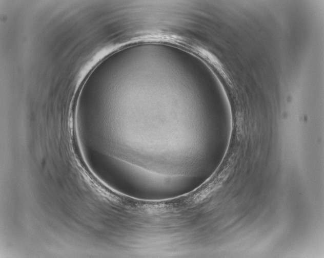 X0000059061428200510101037