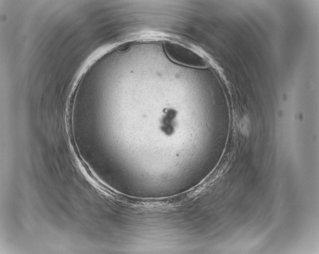 X0000059061429200510101037