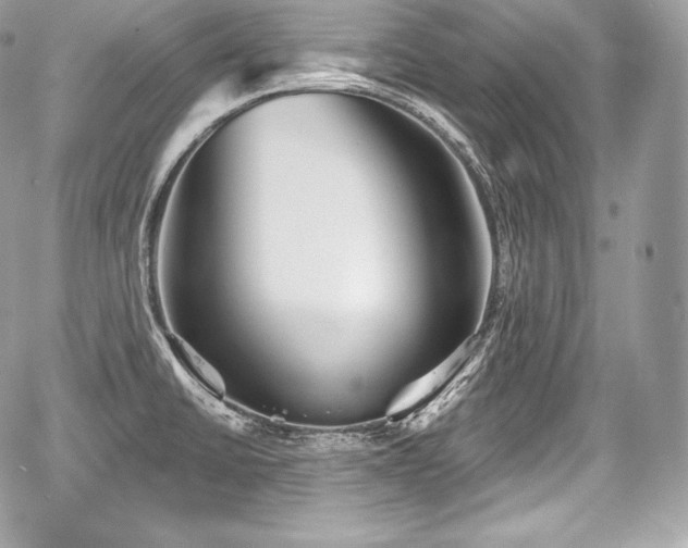 X0000059061430200510101037