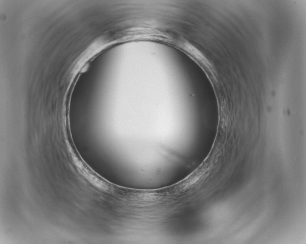 X0000059061431200510101037