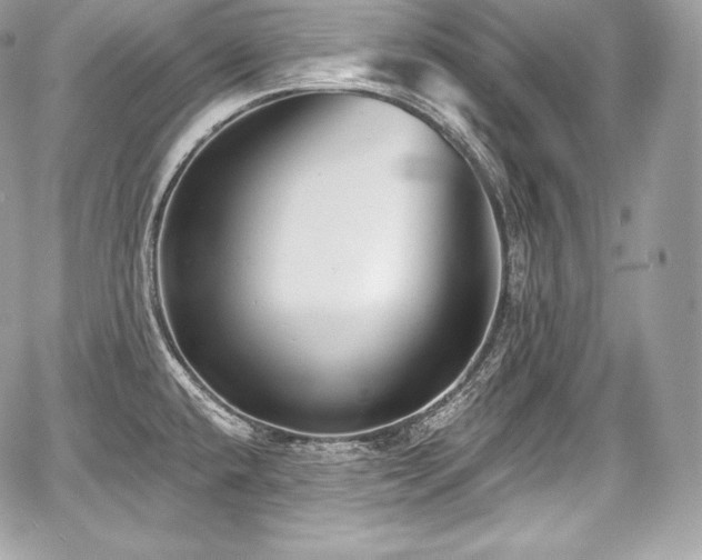 X0000059061432200510101037