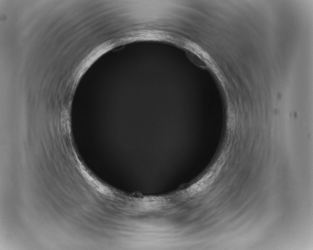 X0000059061433200510101037