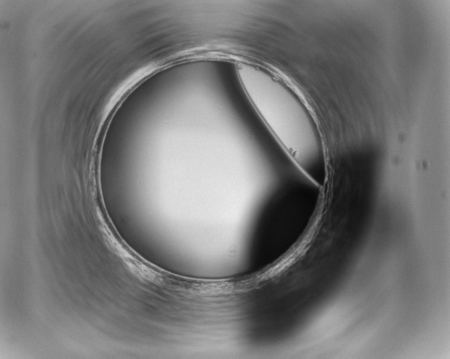 X0000059061434200510101037